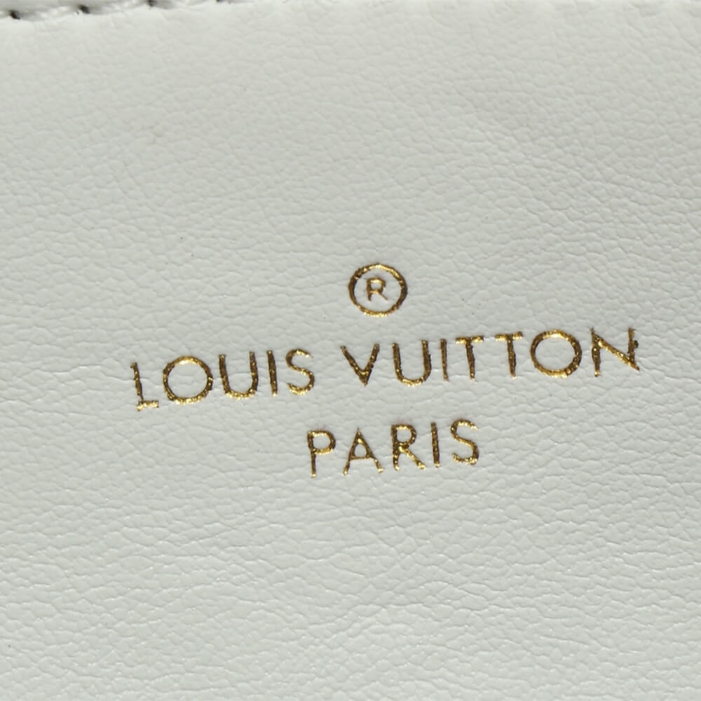 LV Pochette Coussin