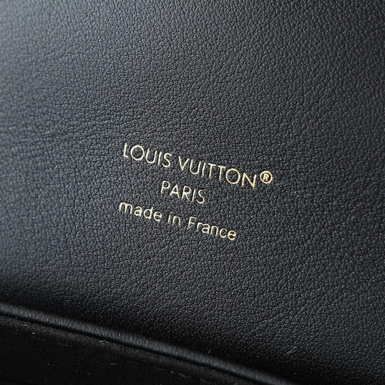 LV Coussin Backpack PM(HIGH-END GRADE)